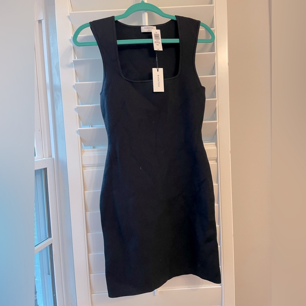 Babaton Bodycon Dress